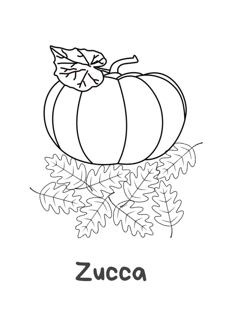 Anteprima Zucca