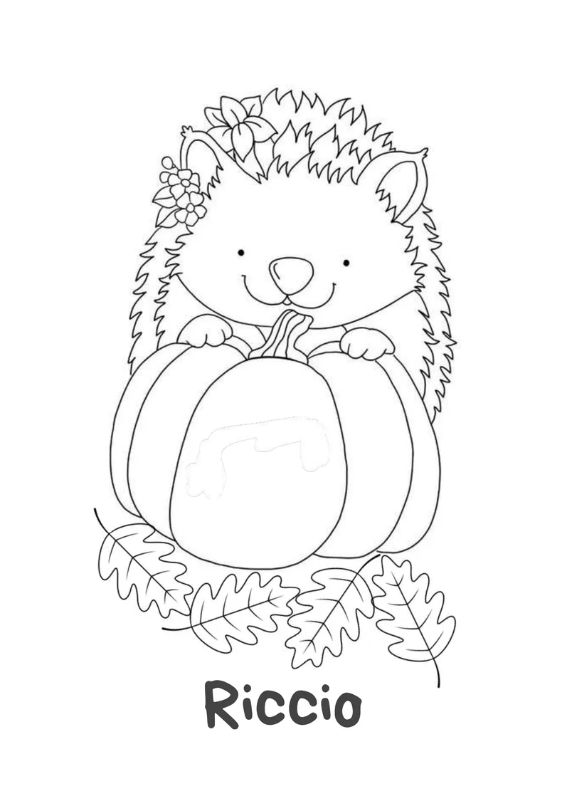 Riccio sulla zucca